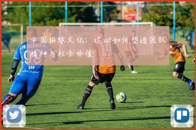 中国排球文化:运动如何塑造团队精神与社会价值