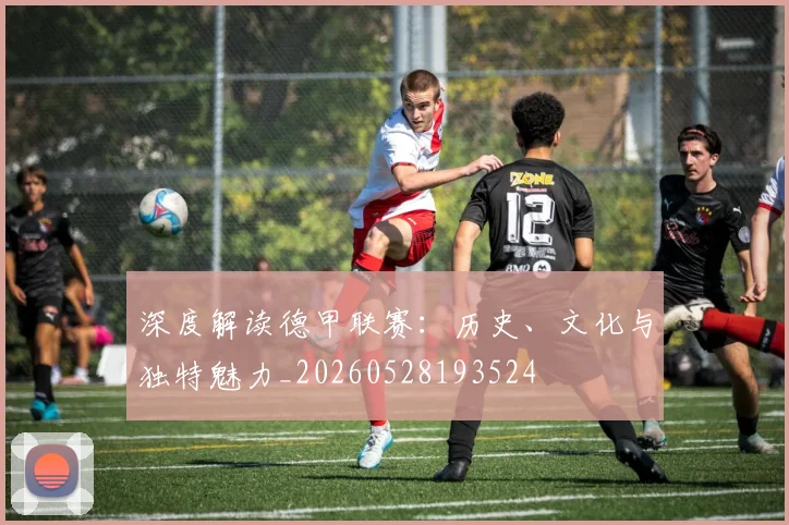 深度解读德甲联赛：历史、文化与独特魅力_20260528193524